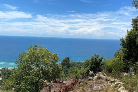 Земельный участок в Сураттхани, Таиланд  № 135243 - фото 9