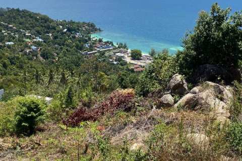 Земельный участок в Сураттхани, Таиланд  № 135243 - фото 3