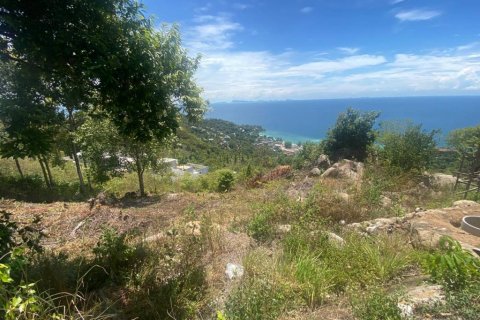 Земельный участок в Сураттхани, Таиланд  № 135243 - фото 8