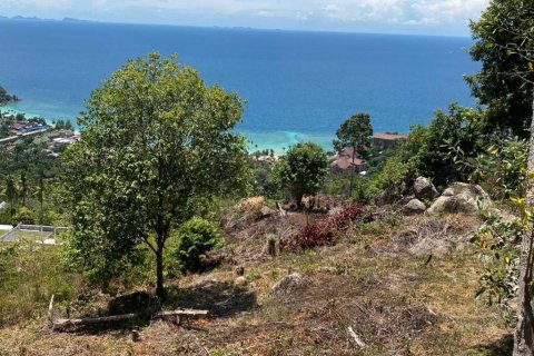 Земельный участок в Сураттхани, Таиланд  № 135243 - фото 4