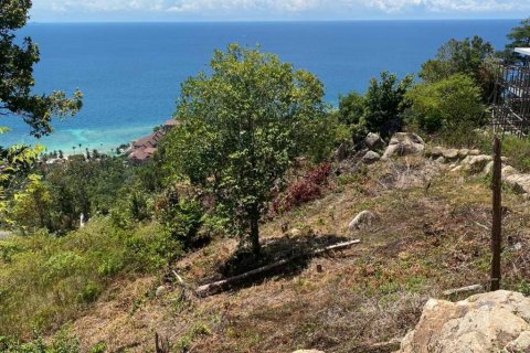 Земельный участок в Сураттхани, Таиланд  № 135243 - фото 7