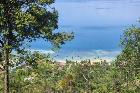 Земельный участок в Сураттхани, Таиланд  № 135243 - фото 10