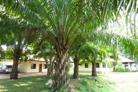 House in Chiang Mai, Thailand 3 bedrooms № 120000 - photo 7