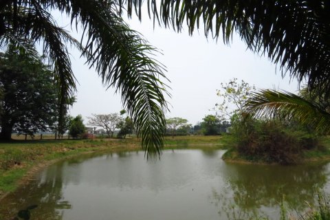 House in Chiang Mai, Thailand 3 bedrooms № 120000 - photo 6