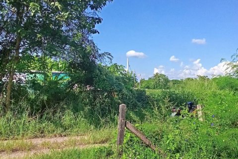 Земельный участок в Сан Кампаенге, Таиланд 1600м2  № 152940 - фото 8