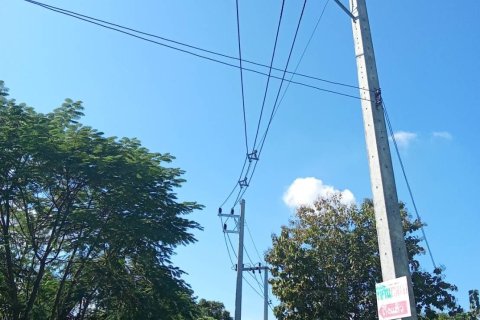 Земельный участок в Сан Кампаенге, Таиланд 1600м2  № 152940 - фото 4