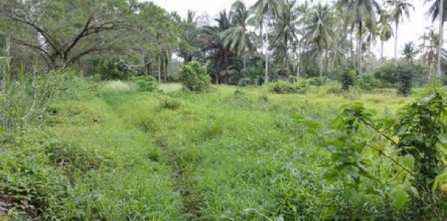 Terrain à Phang Nga, Thaïlande 14464 m2 № 192743