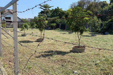 Terrain à Bangkok, Thaïlande 800 m2 № 161410 - photo 3