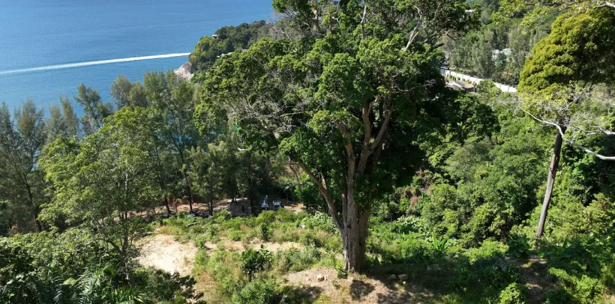 Земельный участок в Кату, Таиланд 9600м2  № 148980