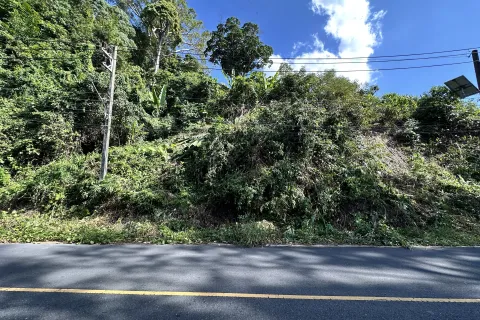 Земельный участок в Кату, Таиланд 9600м2  № 148980 - фото 7