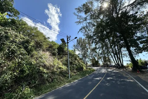 Земельный участок в Кату, Таиланд 9600м2  № 148980 - фото 8