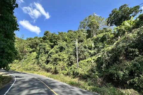 Земельный участок в Кату, Таиланд 9600м2  № 148980 - фото 6