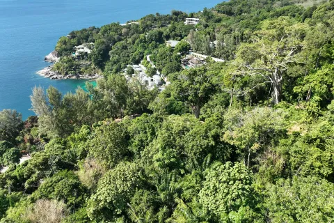 Земельный участок в Кату, Таиланд 9600м2  № 148980 - фото 3