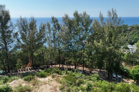 Земельный участок в Кату, Таиланд 9600м2  № 148980 - фото 4