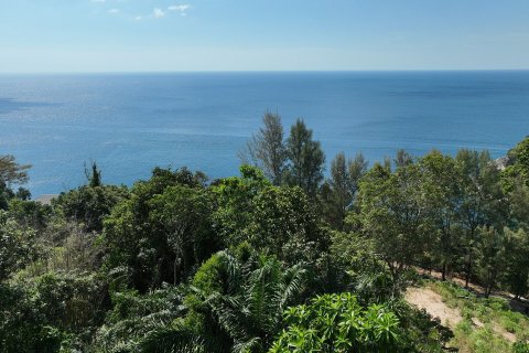 Земельный участок в Кату, Таиланд 9600м2  № 148980 - фото 5