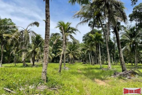 Land in Pa Klok, Thailand 24000 sq.m. № 194296 - photo 1
