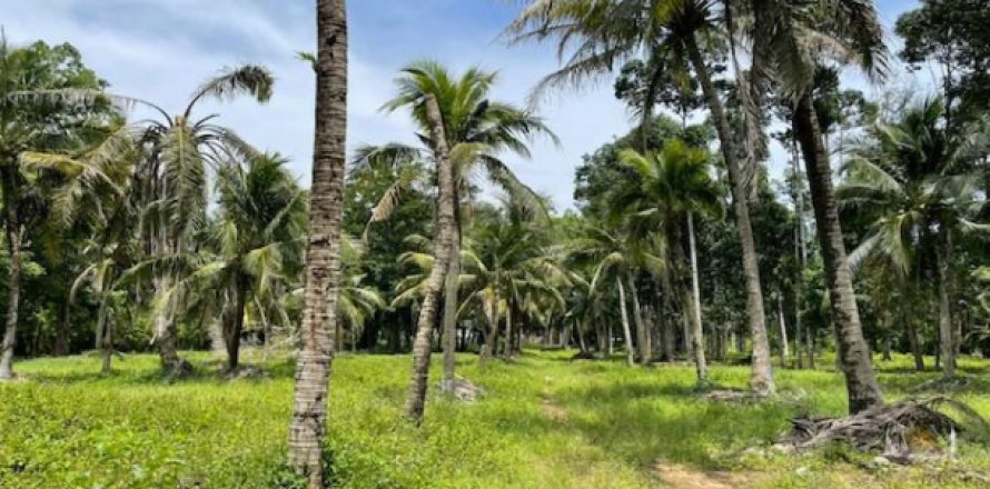Land in Pa Klok, Thailand 24000 sq.m. № 194296
