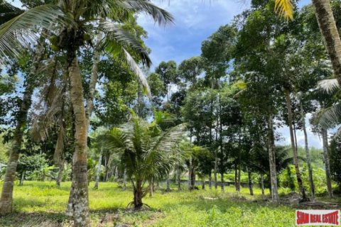 Land in Pa Klok, Thailand 24000 sq.m. № 194296 - photo 3