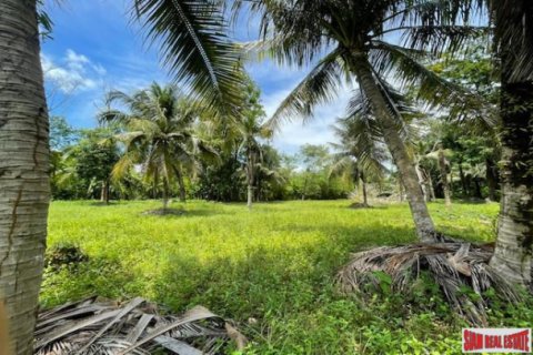 Land in Pa Klok, Thailand 24000 sq.m. № 194296 - photo 4