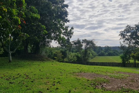 Villa in Chiang Rai, Thailand 3 bedrooms № 161629 - photo 30