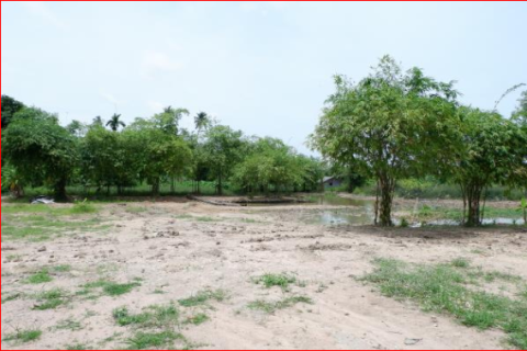 Земельный участок в Паттайе, Таиланд 6400м2  № 141693 - фото 4