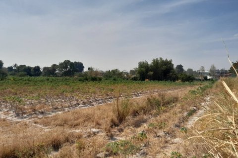 Land in Rayong, Thailand 12800 sq.m. № 171665