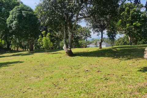 Land in Chiang Rai, Thailand 1600 sq.m. № 171666