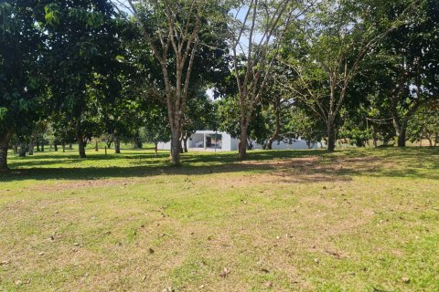 Land in Chiang Rai, Thailand 1600 sq.m. № 171666 - photo 6