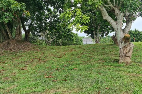 Land in Chiang Rai, Thailand 1600 sq.m. № 171666 - photo 17