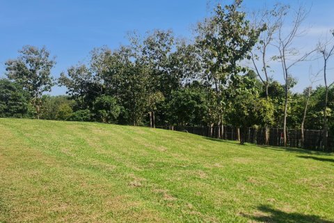 Land in Chiang Rai, Thailand 1600 sq.m. № 171666 - photo 3