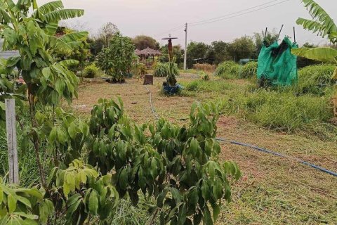 Commercial property in Khon Kaen, Thailand № 169393 - photo 15