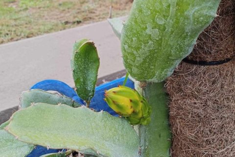 Commercial property in Khon Kaen, Thailand № 169393 - photo 18