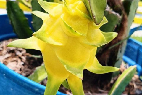 Commercial property in Khon Kaen, Thailand № 169393 - photo 16