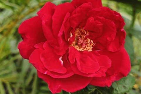 Commercial property in Khon Kaen, Thailand № 169393 - photo 14