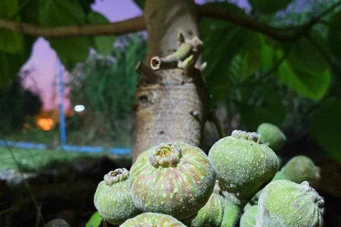 Commercial property in Khon Kaen, Thailand № 169393 - photo 26