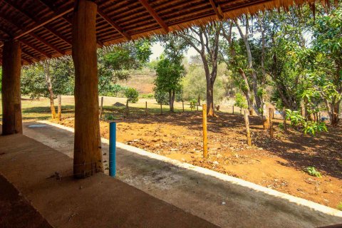 Земельный участок в Чиангмае, Таиланд  № 146593 - фото 17