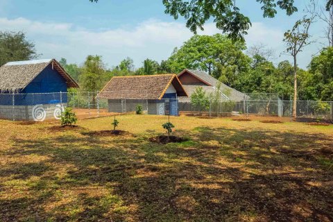 Land in Chiang Mai, Thailand № 146593 - photo 20