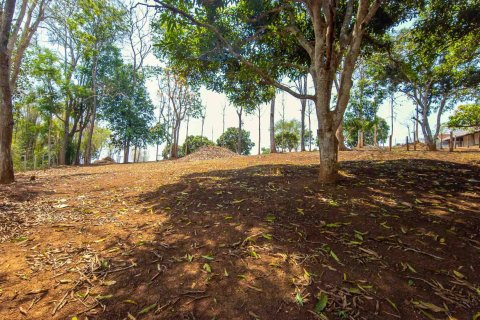 Земельный участок в Чиангмае, Таиланд  № 146593 - фото 12