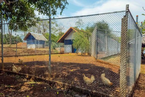 Земельный участок в Чиангмае, Таиланд  № 146593 - фото 14