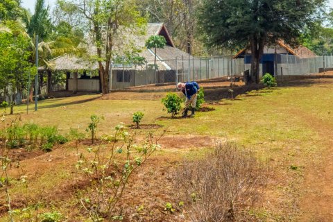 Земельный участок в Чиангмае, Таиланд  № 146593 - фото 5