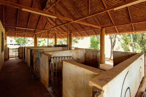 Land in Chiang Mai, Thailand № 146593 - photo 16