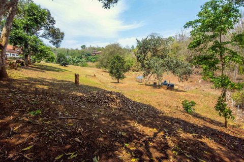 Land in Chiang Mai, Thailand № 146593 - photo 11