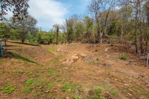 Land in Chiang Mai, Thailand № 146593 - photo 9