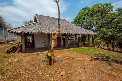 Land in Chiang Mai, Thailand № 146593 - photo 15