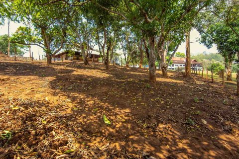 Land in Chiang Mai, Thailand № 146593 - photo 13