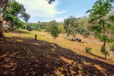 Земельный участок в Чиангмае, Таиланд  № 146593 - фото 11