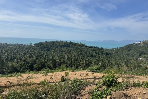 Land in Ko Samui, Thailand 2384 sq.m. № 167190