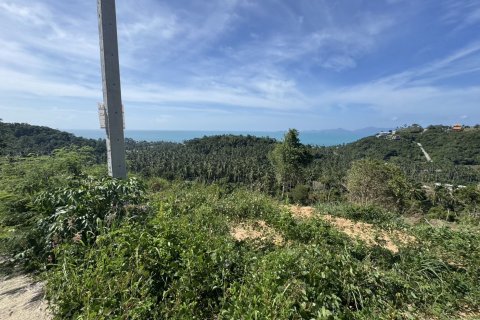 Земельный участок в Самуи, Таиланд 2384м2  № 167190 - фото 2