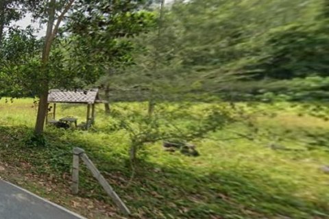 Terrain à Phuket, Thaïlande 2974.8 m2 № 145871 - photo 3