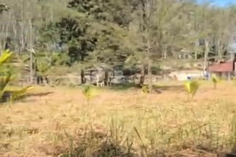 Terrain à Phuket, Thaïlande 2974.8 m2 № 145871 - photo 5